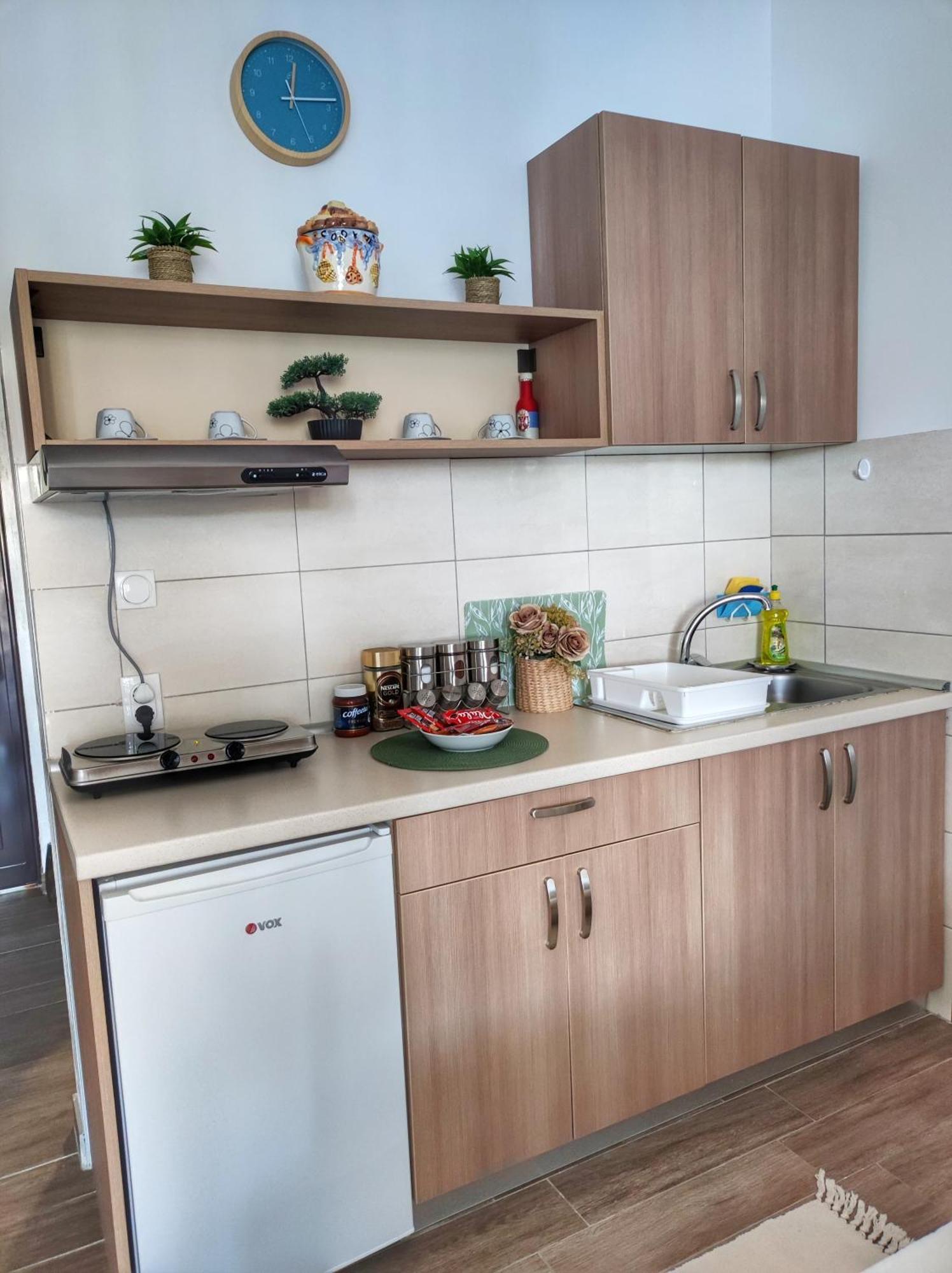Appartement Dionis à Veliko Gradište Extérieur photo